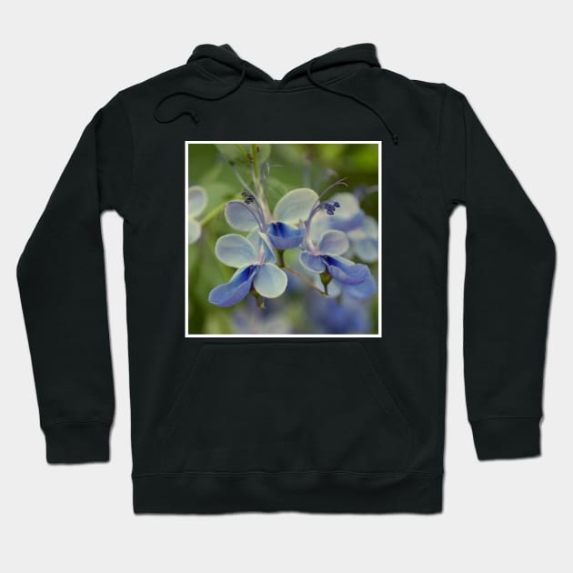 Unique Blue Flower with green leaves nature lovers beautiful photography design Hoodie by BoogieCreates